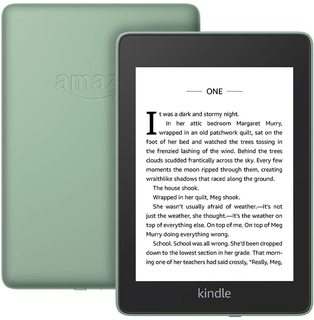 Электронная книга Kindle Paperwhite 4 (2020) Sage 32GB