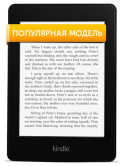 Электронная книга Kindle Paperwhite (2012)